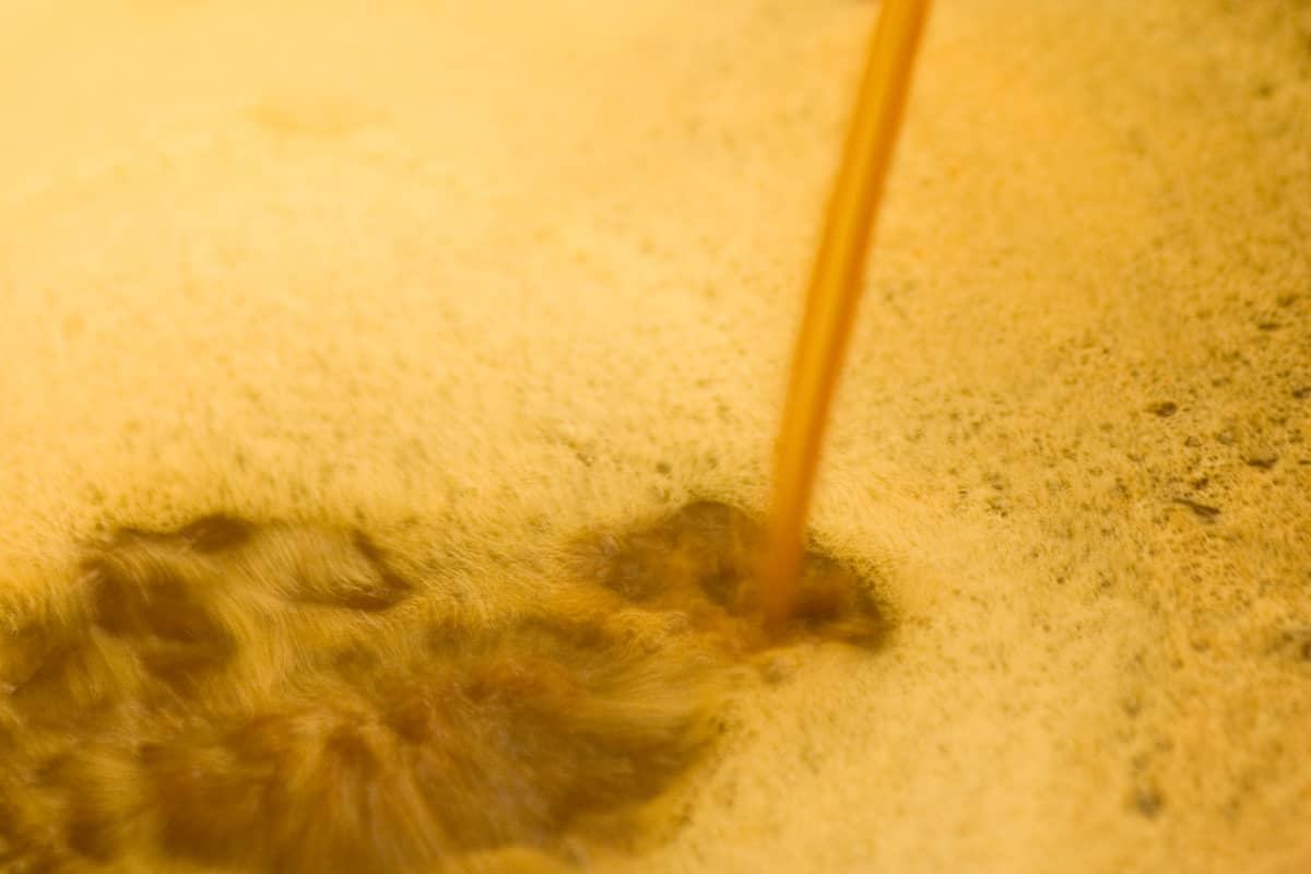 Mosto de mazana obtenido después del prensado